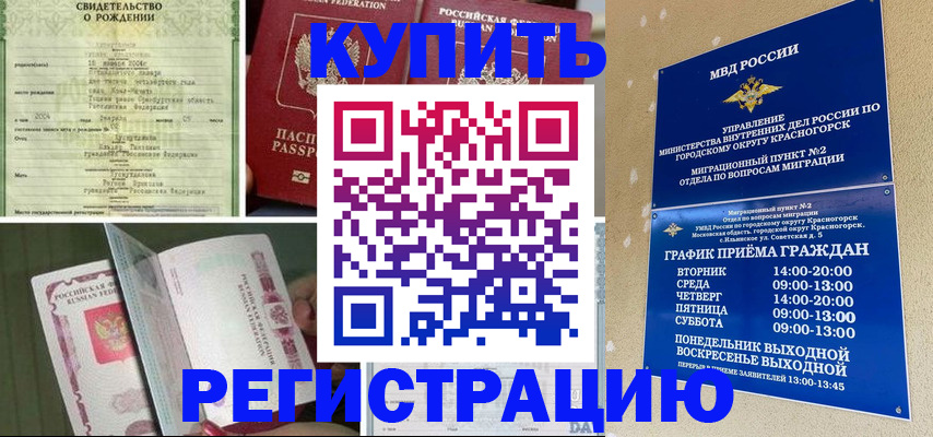 форма 3 в Камчатском крае